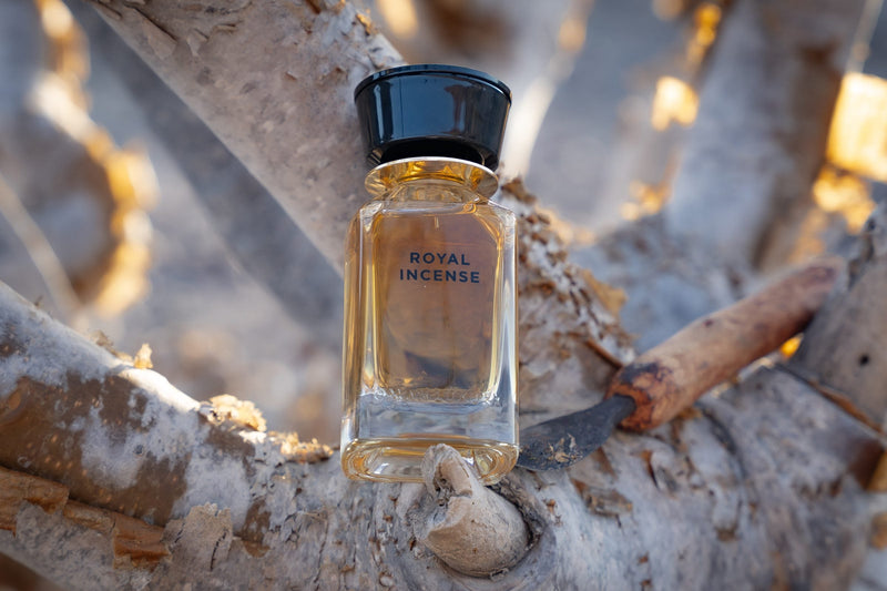 Oman Luxury Royal Incense Eau de Parfum resting in the branches of a frankincense tree in Dhofar
