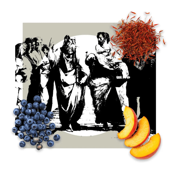 Pantheon Roma Anniversario scent notes artwork with strawberry and coconut