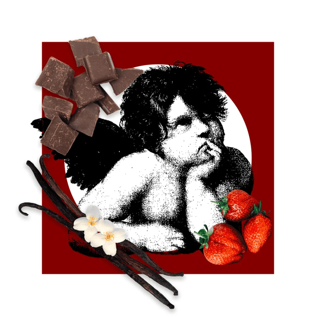 Pantheon Roma Dolce Passione scent notes artwork with dark chocolate and strawberry