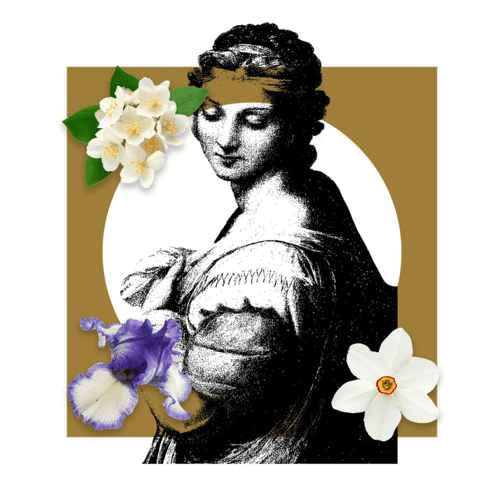 Pantheon Roma Donna Margherita scent notes artwork with jasmine and tuberose