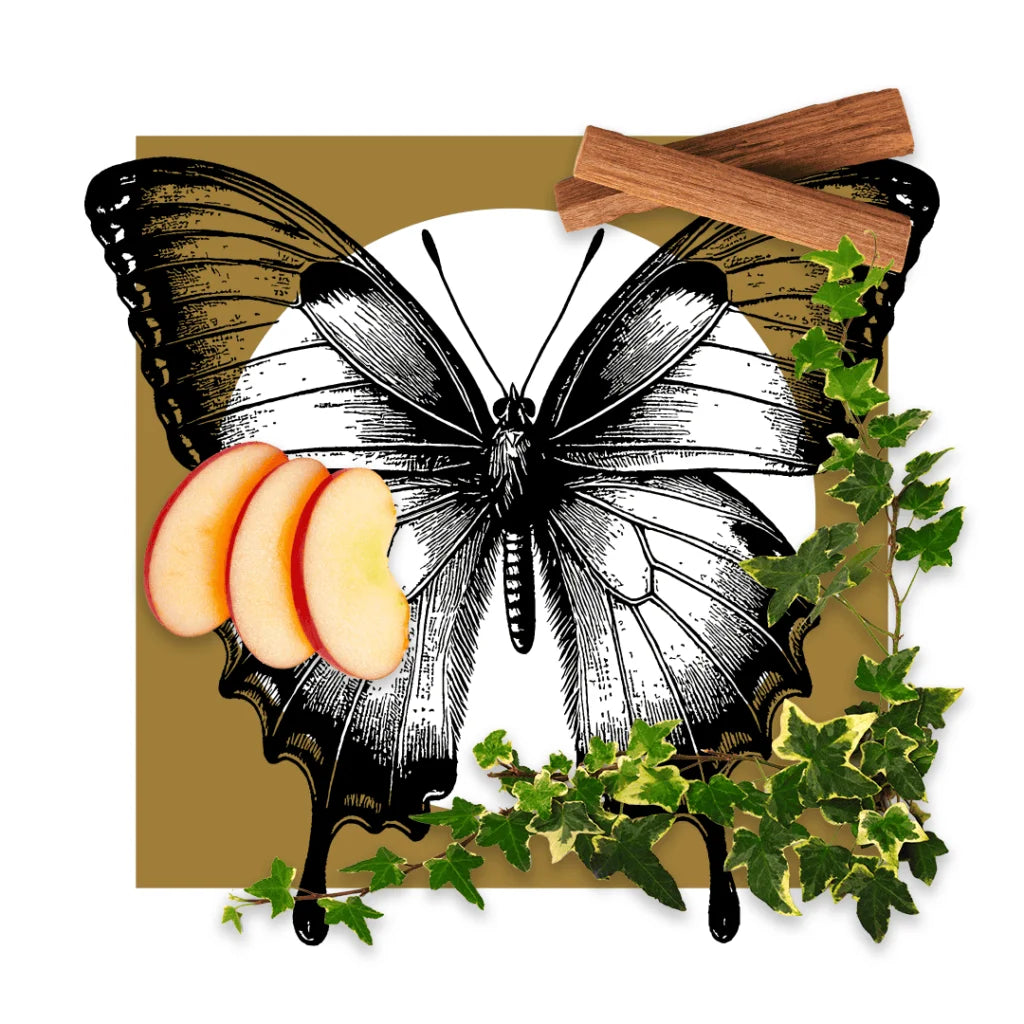 Pantheon Roma Il Giardino scent notes artwork with ivy and apple