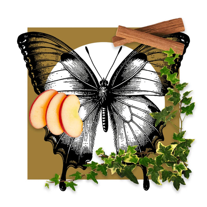 Pantheon Roma Il Giardino scent notes artwork with ivy and apple