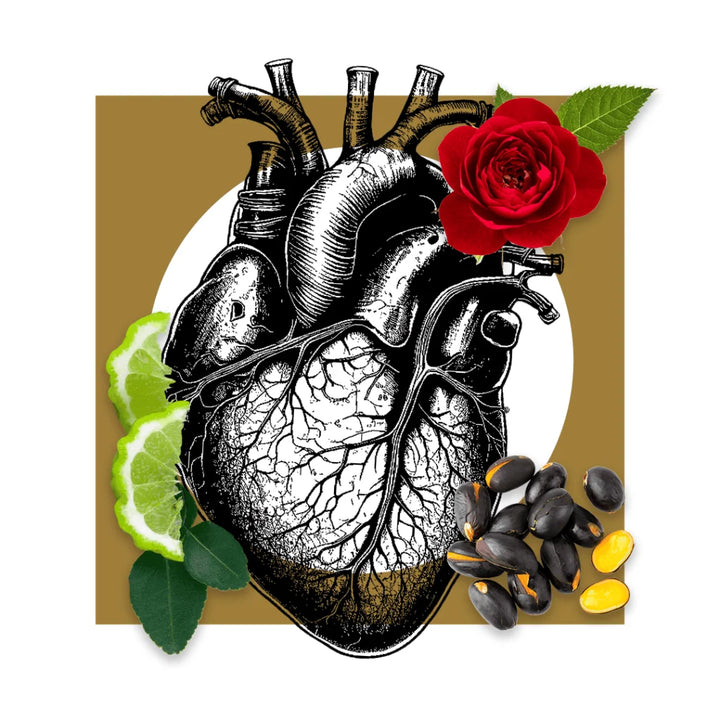 Pantheon Roma Notte d'Amore scent notes artwork with bergamot and orange blossom