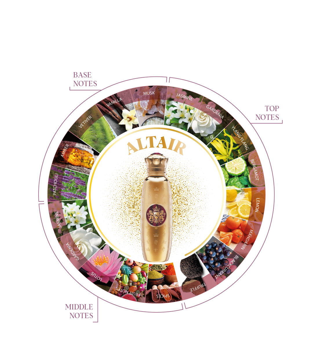 Spirit of Kings Altair Eau de Parfum 100ml