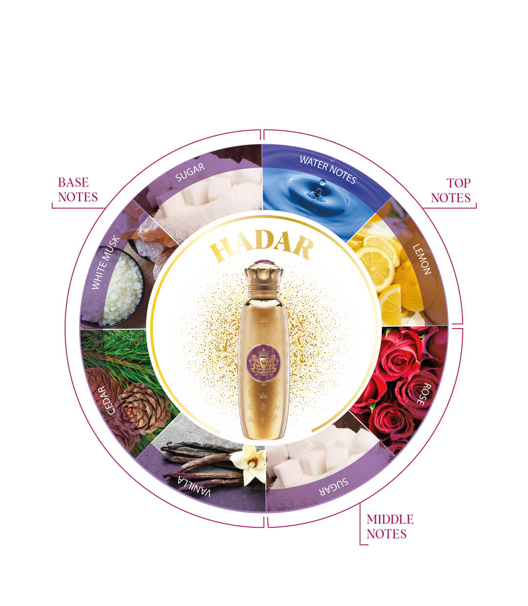 Spirit of Kings Hadar Eau de Parfum 100ml