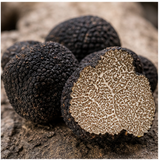 Truffle