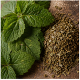 Sumatran Patchouli