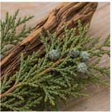 Virginia Cedar