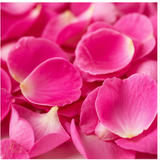 Rose Petals