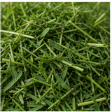 Cut Grass