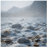 Sea Mist