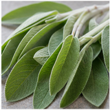 Sage