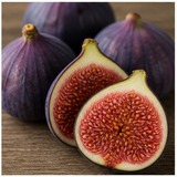 Fig