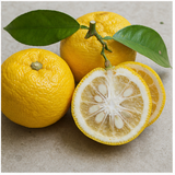 Yuzu