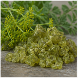 Galbanum