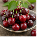 Cherry