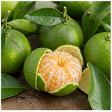 Green Mandarin