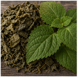 Indonesian Patchouli