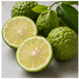Italian Bergamot