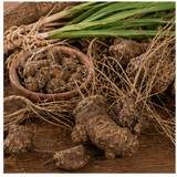 Cypriol Oil