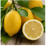 Amalfi Lemon