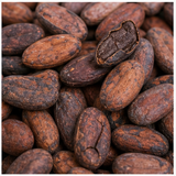 Cocoa Bean