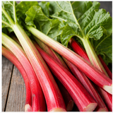 Rhubarb