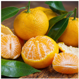 Yellow Mandarin
