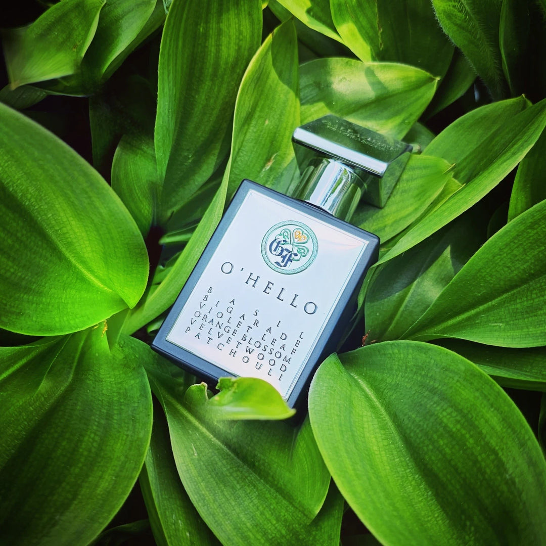 Gallagher O'HELLO 50ml Eau de Parfum - fragrance notes detail