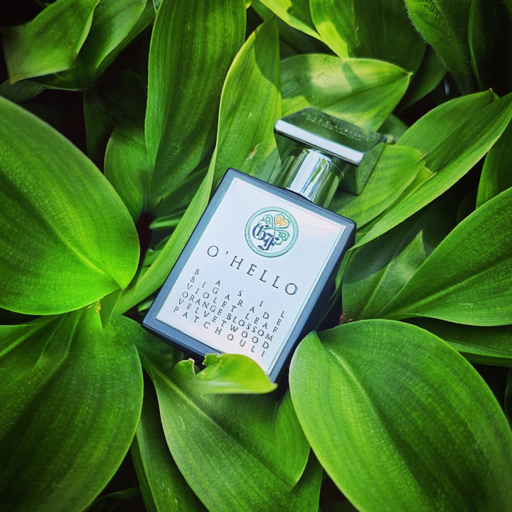 Gallagher O'HELLO 50ml Eau de Parfum - fragrance notes detail