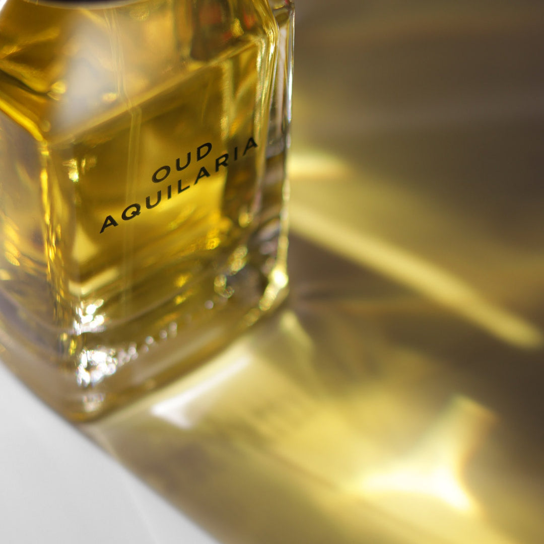 Oman Luxury Oud Aquilaria Eau de Parfum bottle macro detail of the engraved name in golden light