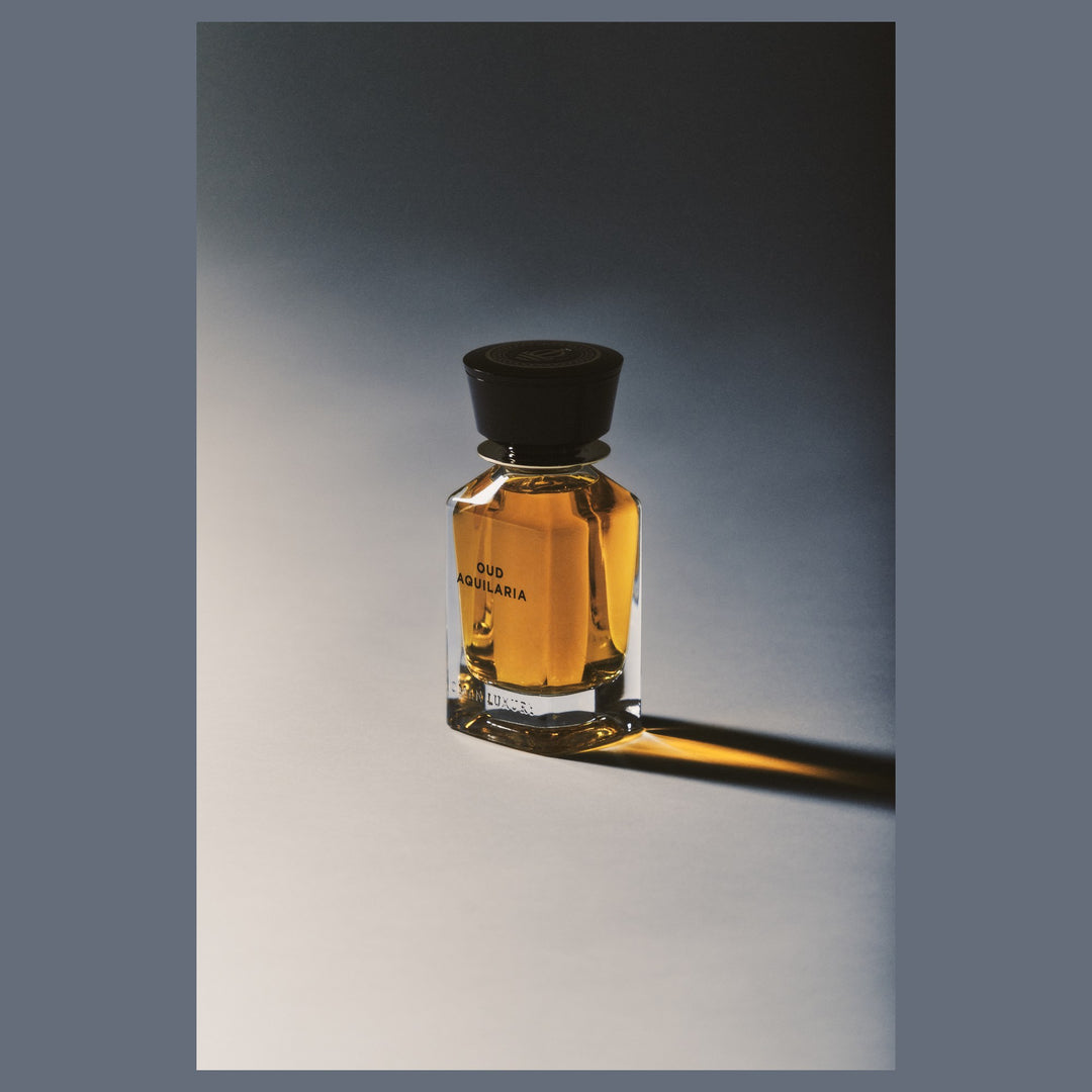 Oman Luxury Oud Aquilaria Eau de Parfum bottle lit against a graduated studio backdrop