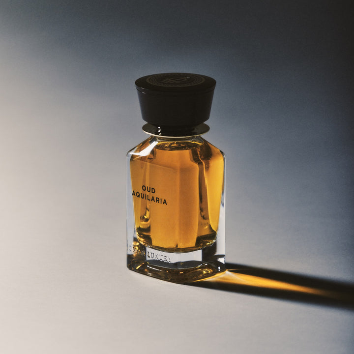 Oman Luxury Oud Aquilaria Eau de Parfum bottle lit against a graduated studio backdrop