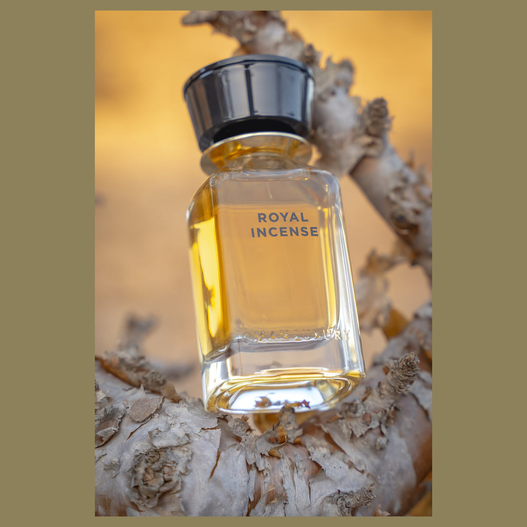 Oman Luxury Royal Incense Eau de Parfum bottle held in a frankincense tree in Dhofar