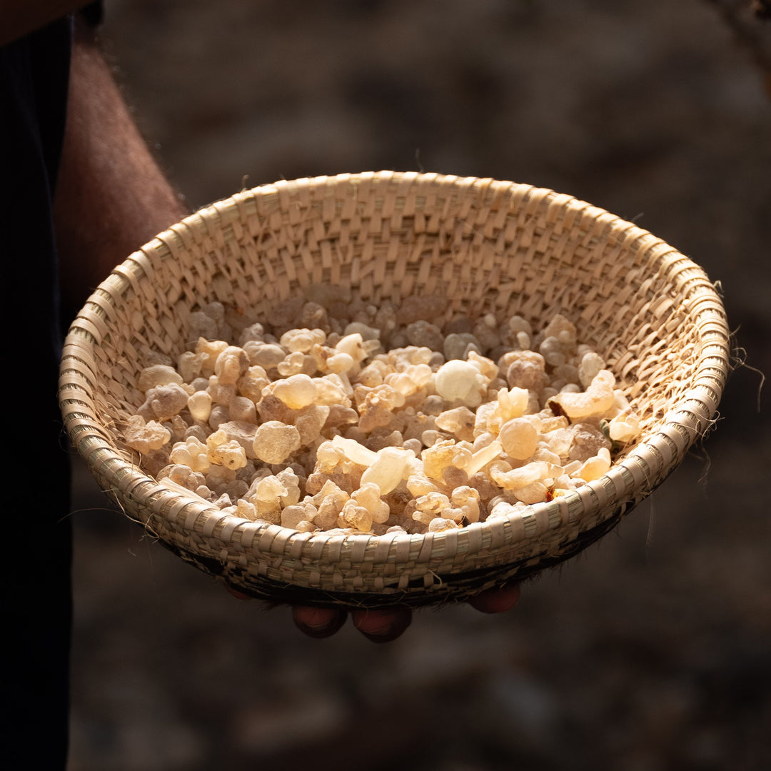 Oman Luxury Zafar Eau de Parfum bottle beside a bowl of Hojari frankincense