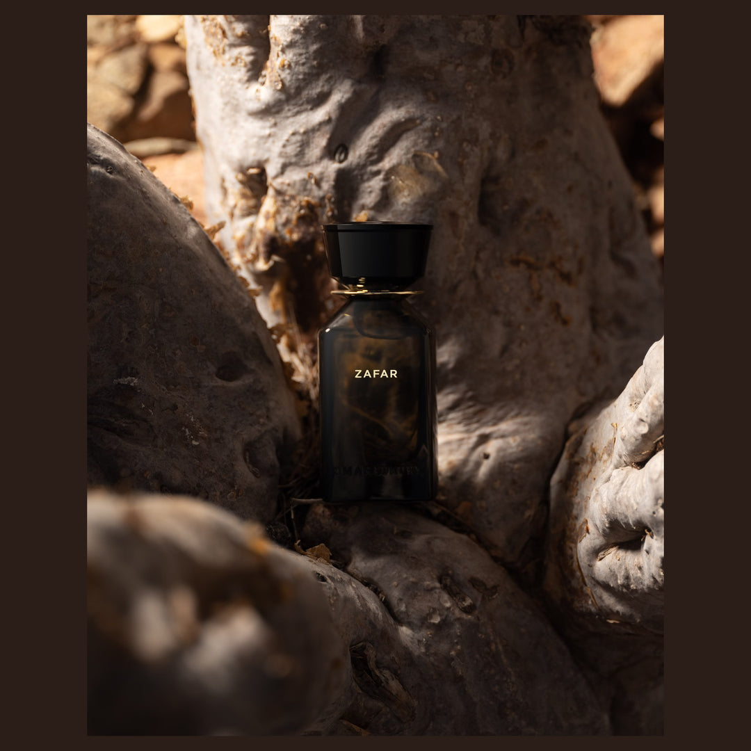 Oman Luxury Zafar Eau de Parfum bottle in the branches of a frankincense tree