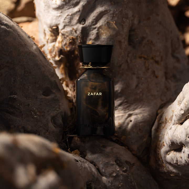 Oman Luxury Zafar Eau de Parfum bottle in the branches of a frankincense tree